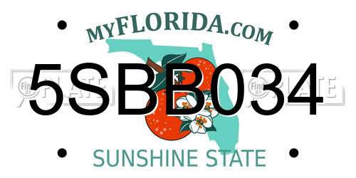 5SBB034 Florida License Plate