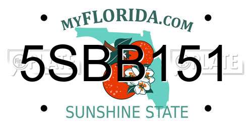 5SBB151 Florida License Plate
