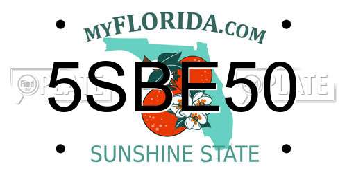 5SBE50 Florida License Plate