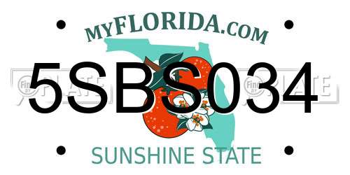 5SBS034 Florida License Plate