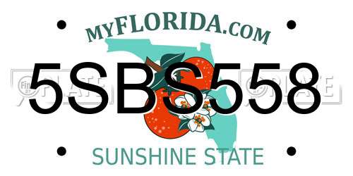 5SBS558 Florida License Plate