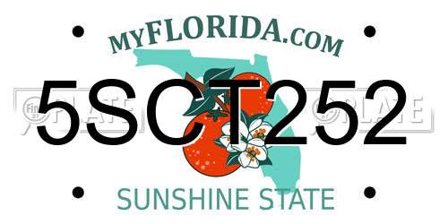 5SCT252 Florida License Plate