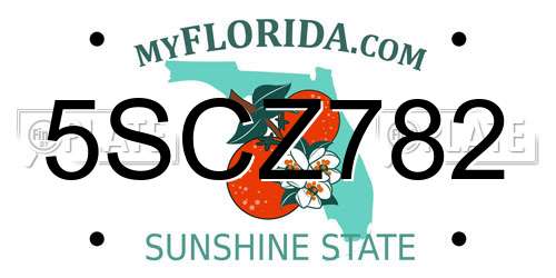 5SCZ782 Florida License Plate
