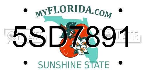5SD7891 Florida License Plate