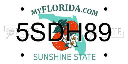 5SDH89 Florida License Plate