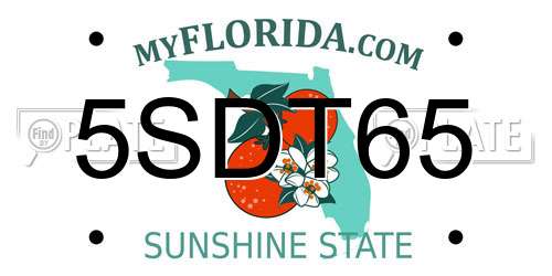5SDT65 Florida License Plate