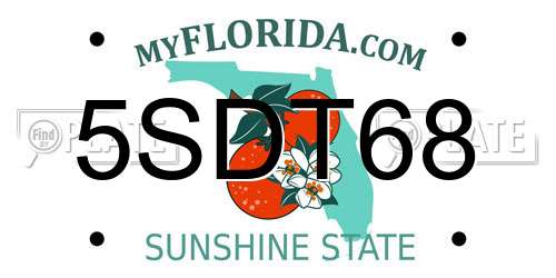 5SDT68 Florida License Plate
