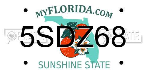 5SDZ68 Florida License Plate