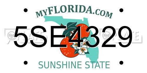 5SE4329 Florida License Plate
