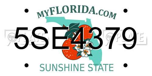 5SE4379 Florida License Plate