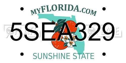 5SEA329 Florida License Plate