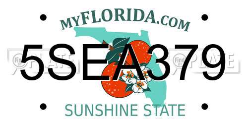 5SEA379 Florida License Plate