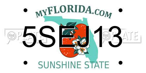 5SEJ13 Florida License Plate