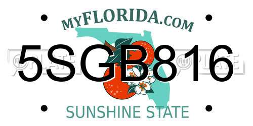 5SGB816 Florida License Plate