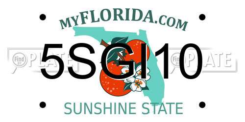 5SGI10 Florida License Plate