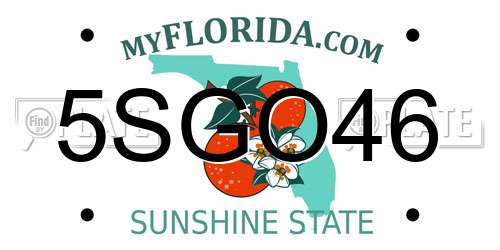 5SGO46 Florida License Plate