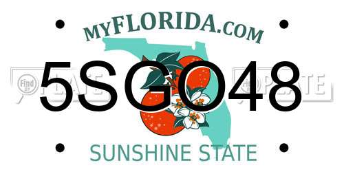 5SGO48 Florida License Plate
