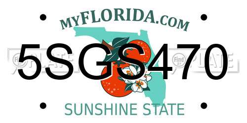 5SGS470 Florida License Plate