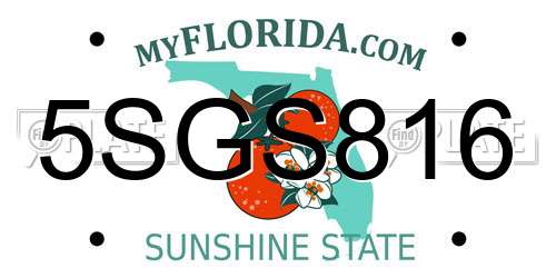 5SGS816 Florida License Plate