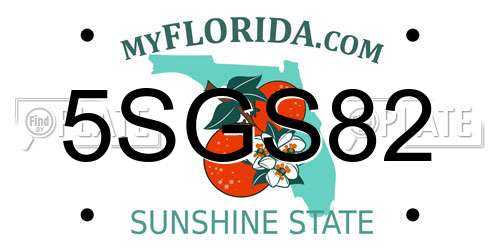 5SGS82 Florida License Plate