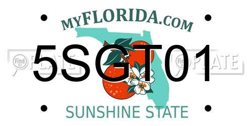 5SGT01 Florida License Plate