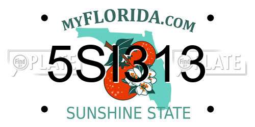 5SI313 Florida License Plate
