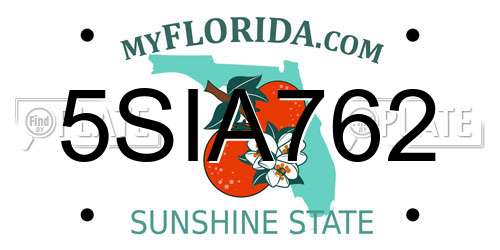 5SIA762 Florida License Plate