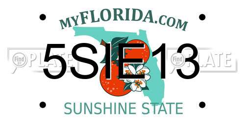 5SIE13 Florida License Plate