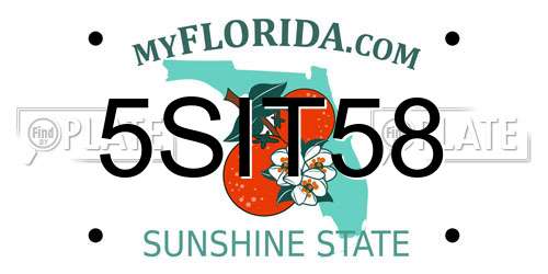5SIT58 Florida License Plate