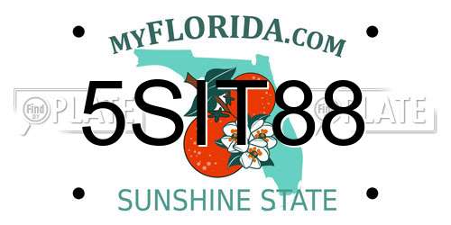 5SIT88 Florida License Plate