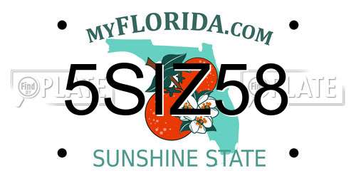 5SIZ58 Florida License Plate