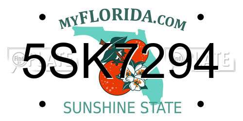 5SK7294 Florida License Plate