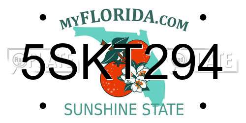 5SKT294 Florida License Plate