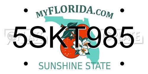 5SKT985 Florida License Plate