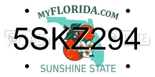 5SKZ294 Florida License Plate