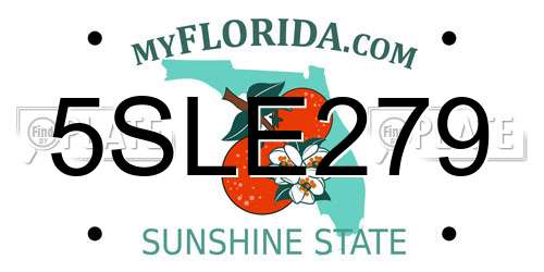 5SLE279 Florida License Plate