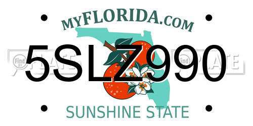 5SLZ990 Florida License Plate
