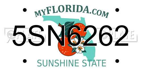 5SN6262 Florida License Plate