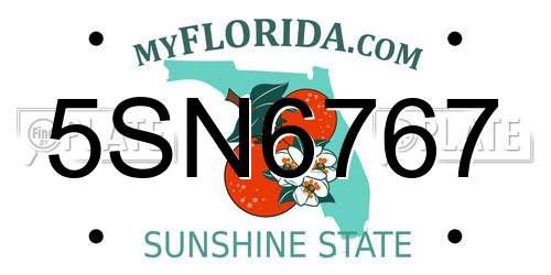 5SN6767 Florida License Plate