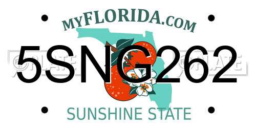5SNG262 Florida License Plate