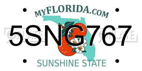 5SNG767 Florida License Plate