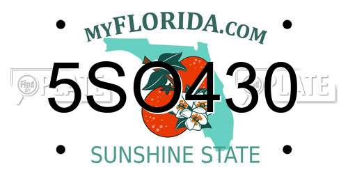5SO430 Florida License Plate
