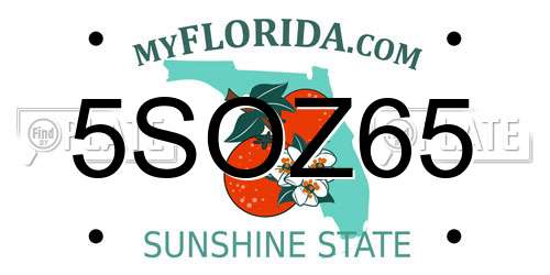 5SOZ65 Florida License Plate