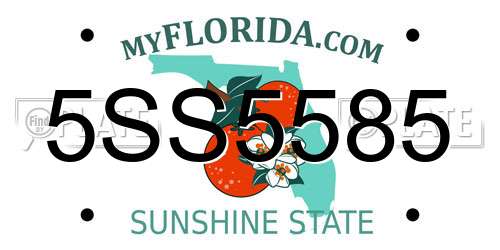 5SS5585 Florida License Plate