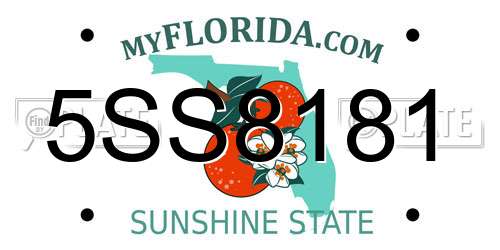 5SS8181 Florida License Plate