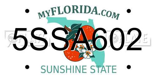 5SSA602 Florida License Plate