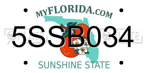 5SSB034 Florida License Plate