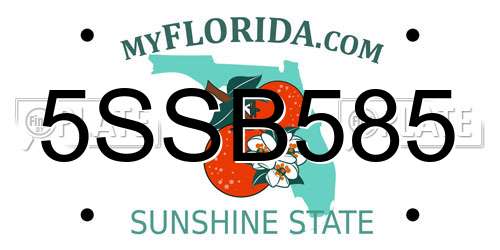 5SSB585 Florida License Plate