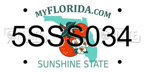 5SSS034 Florida License Plate