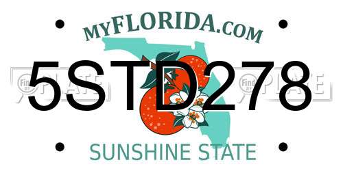 5STD278 Florida License Plate